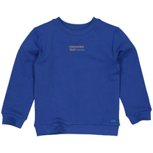 Afbeelding in Gallery-weergave laden, Sweater Darryl
