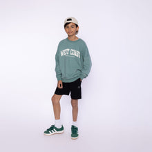 Charger l'image dans la galerie, Shorts P54155
