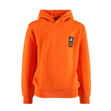 Lade das Bild in den Galerie-Viewer, Hoodie Hank
