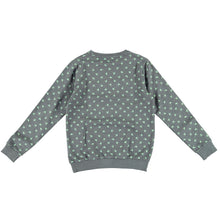 Afbeelding in Gallery-weergave laden, Sweater Vinrose J005
